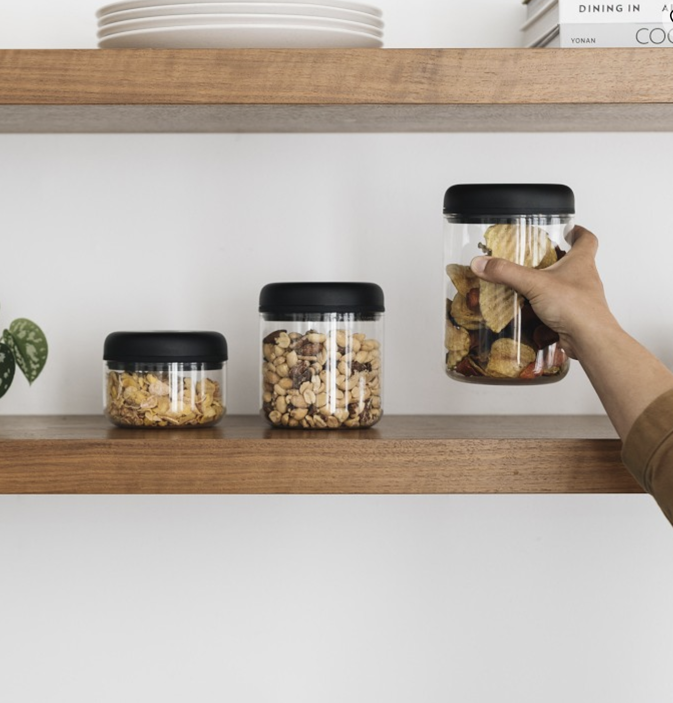 Fellow Coffee Container – Fellow Atmos Vacuum Coffee Canister & Food ...