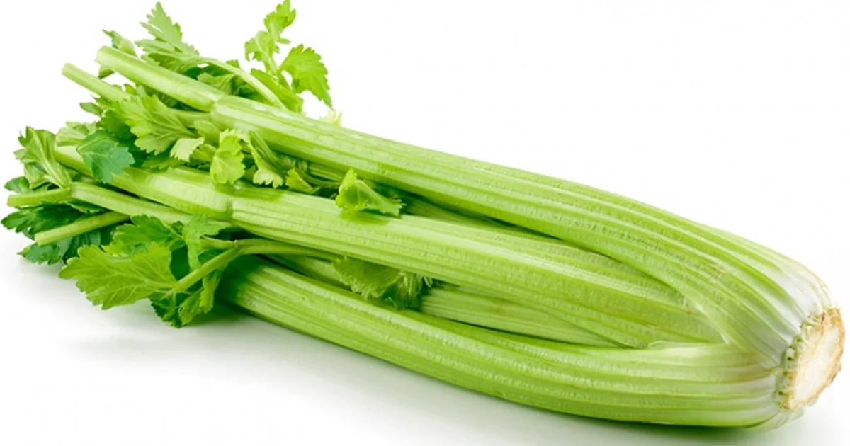celery-1.jpg