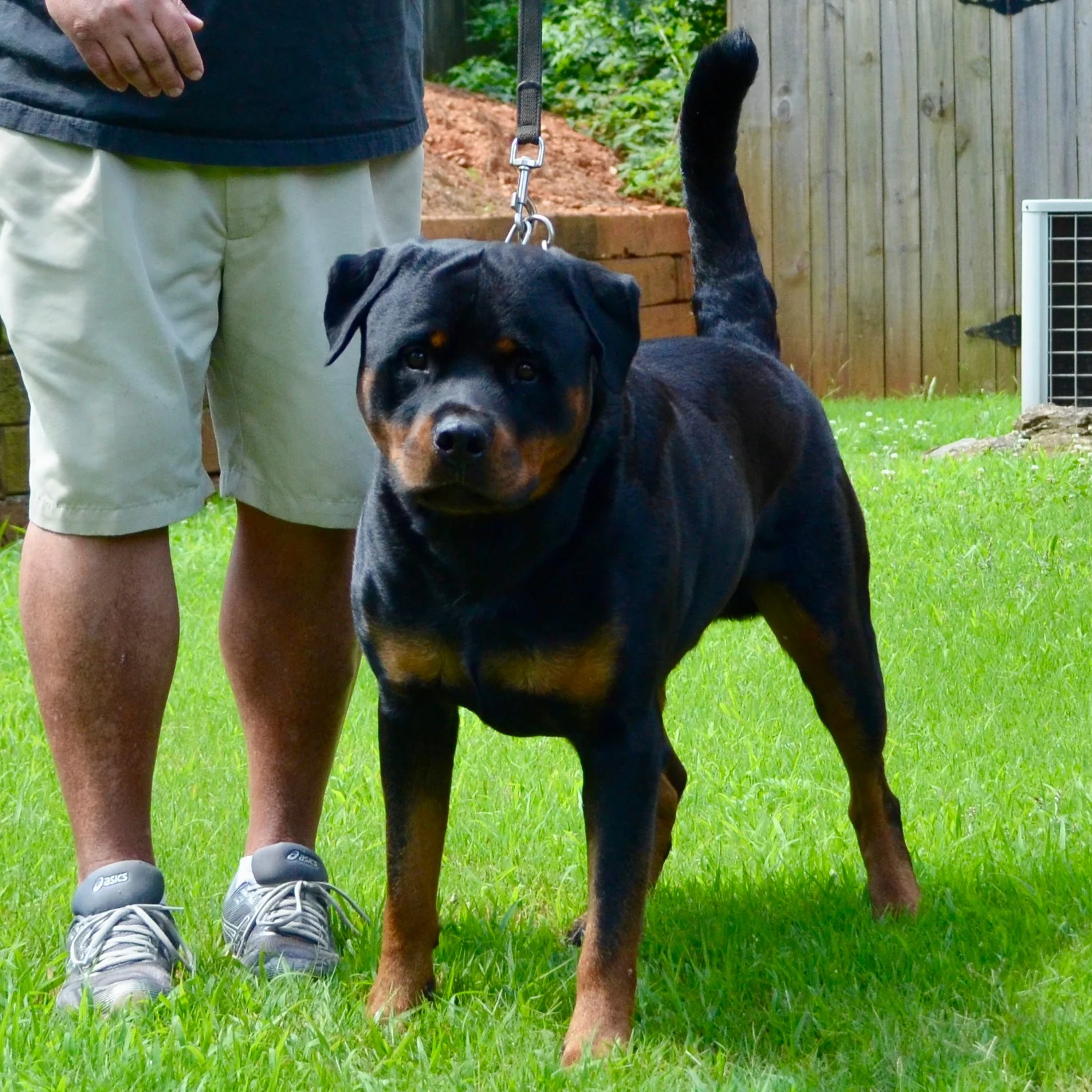 Kane-Earnest Vom Hause Riley