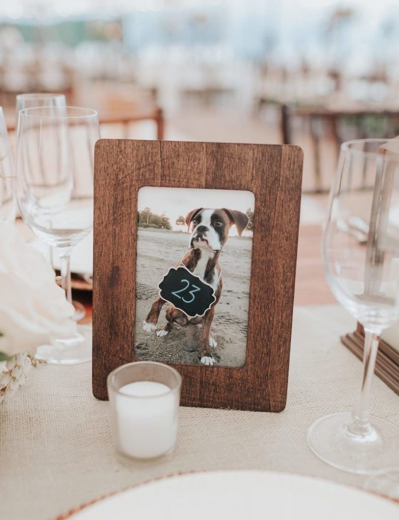 Adorable Ways to Include Pets in Weddings _ The Wedding Shoppe.jpg