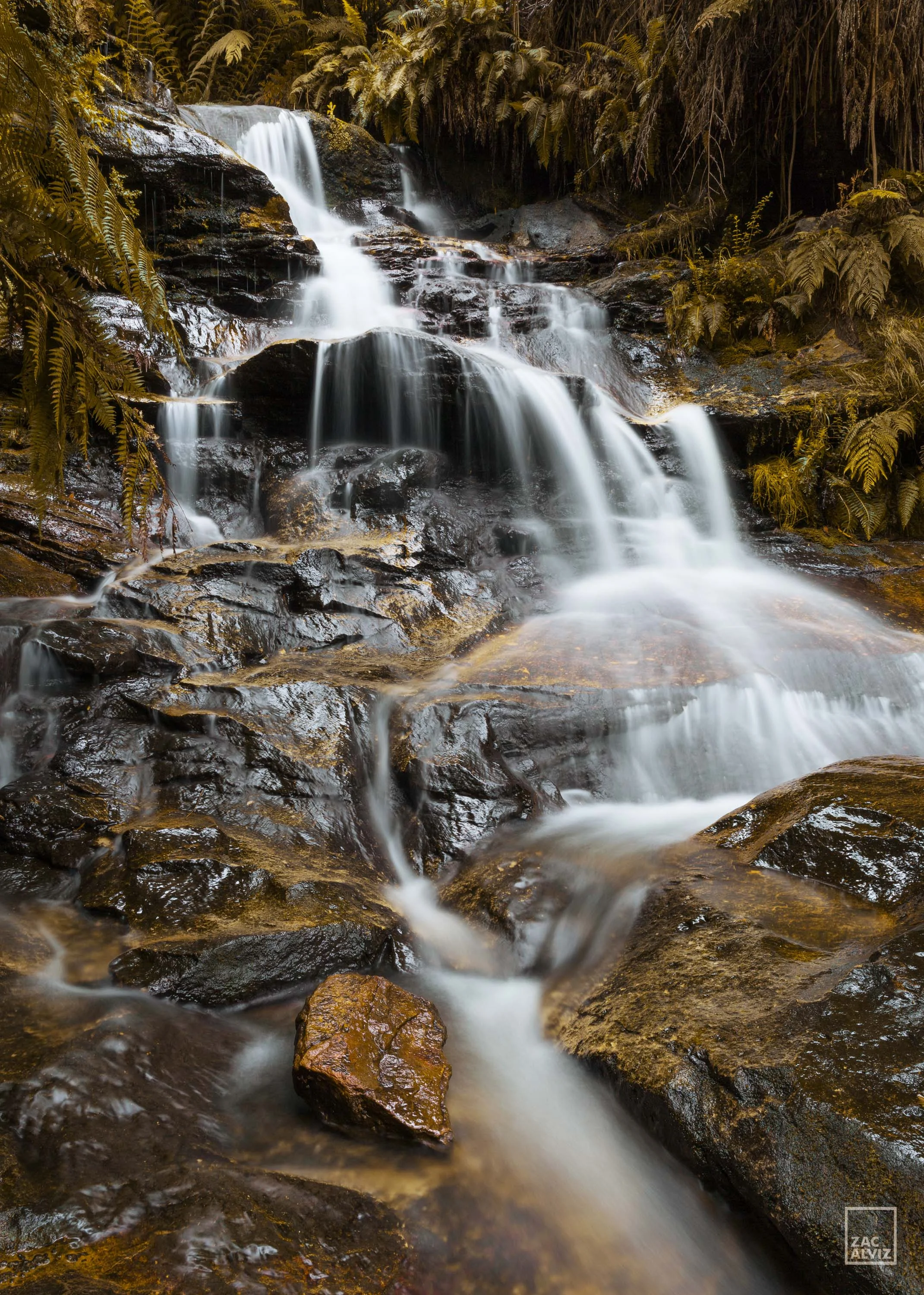Leura -1-1.jpg