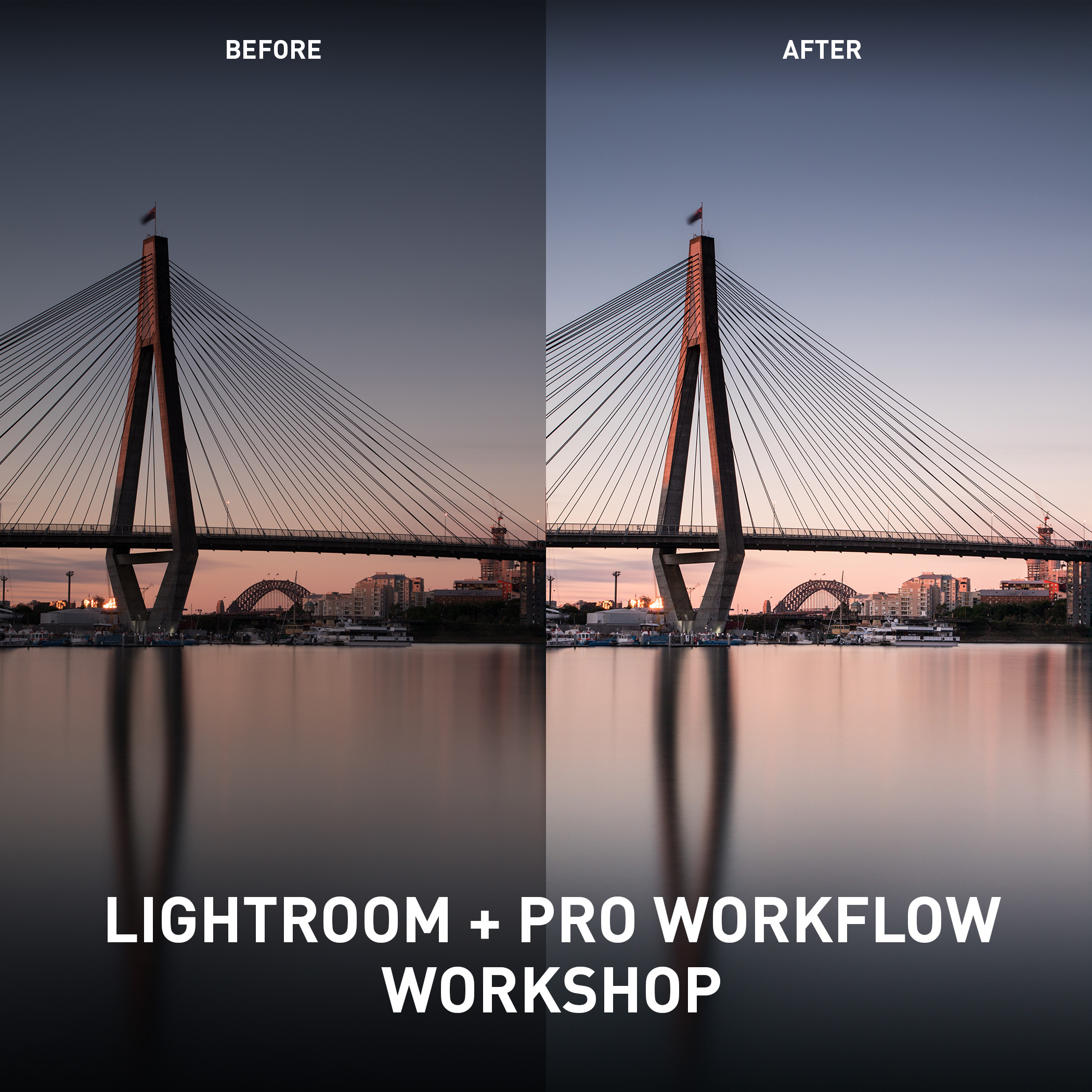 Lightroom + Pro Workflow Workshop