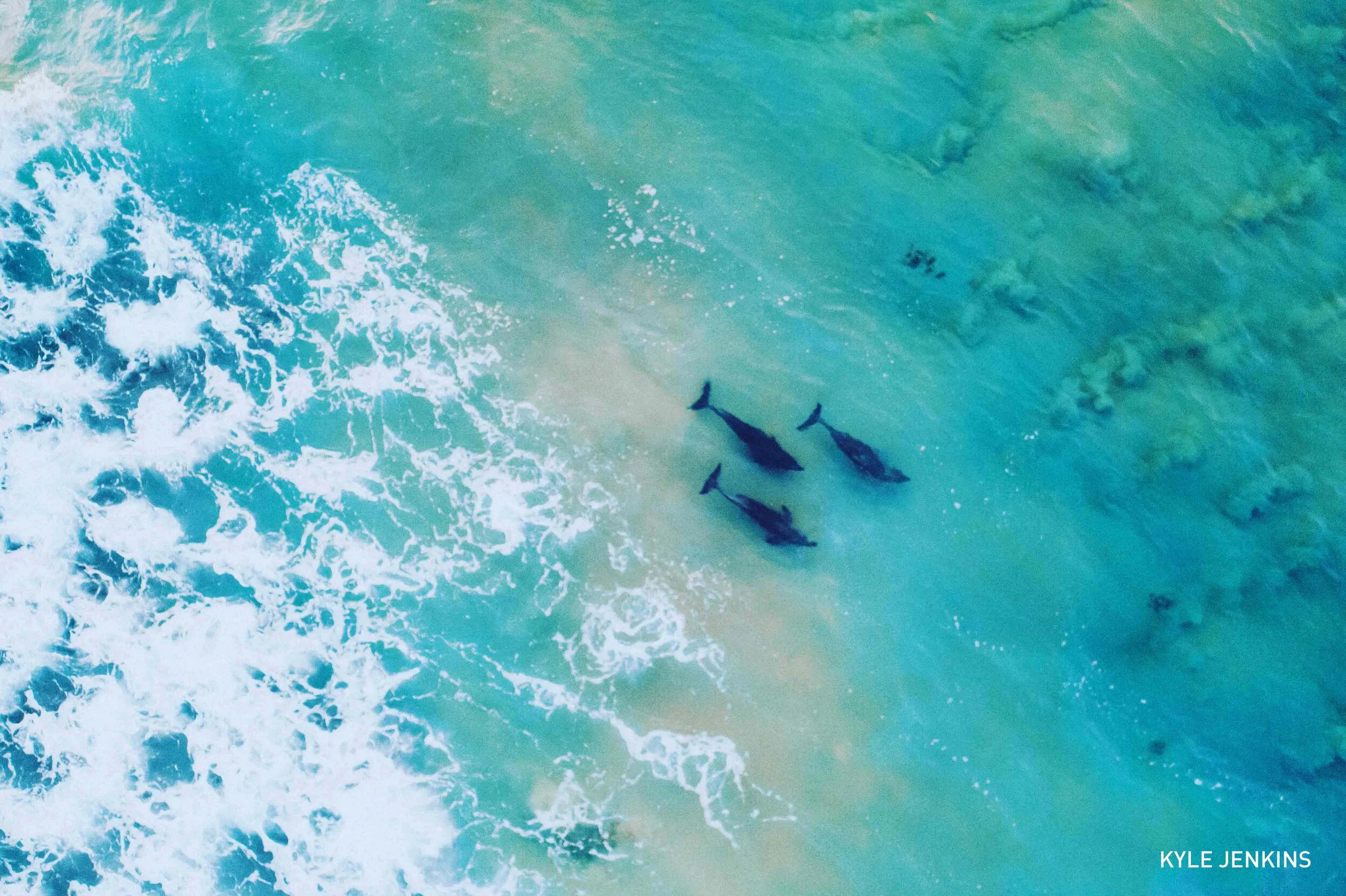 Workshop - Competition - 4.jpg