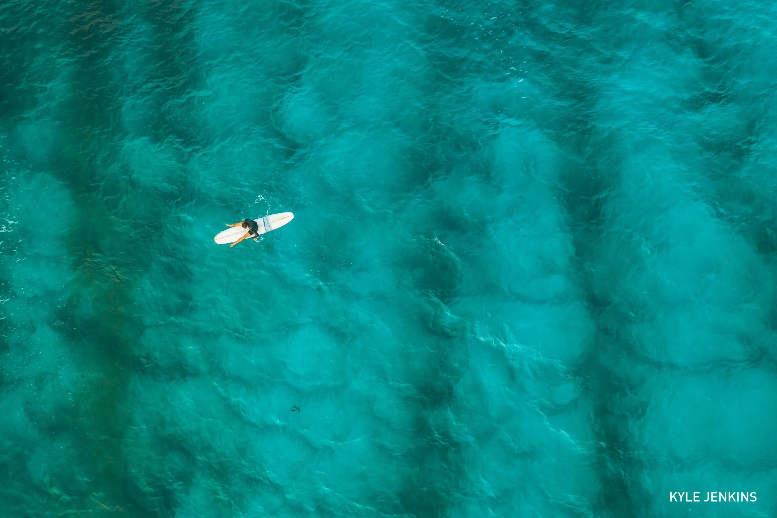 Workshop - Competition - 5.jpg