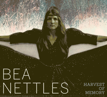 Bea Nettles in Context
