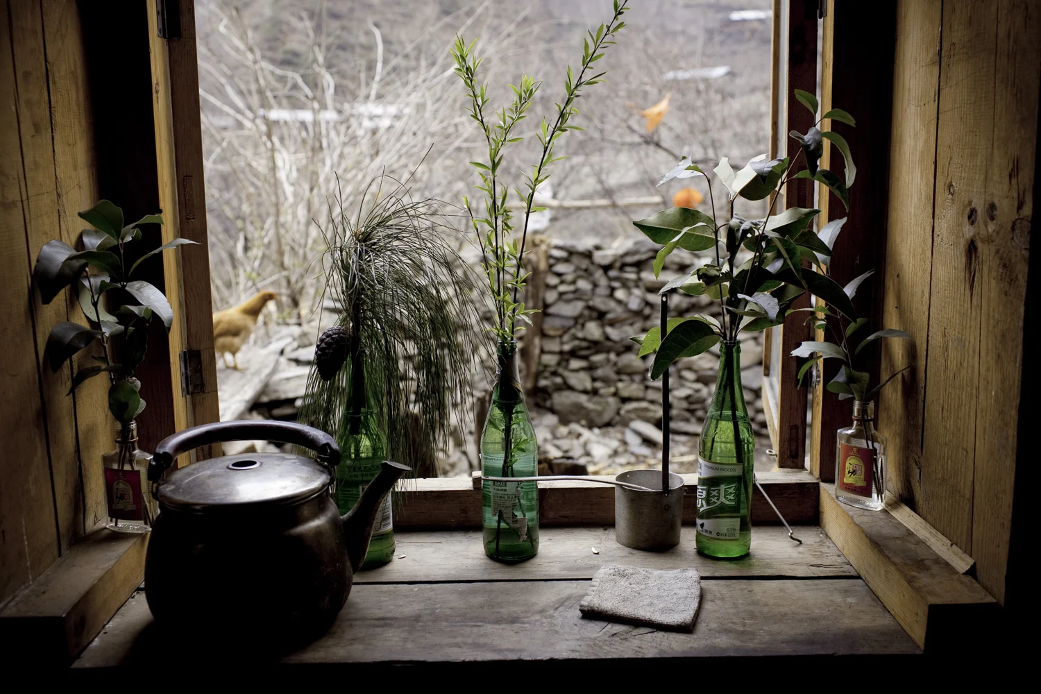 Dimaluo, Yunnan. Looking out from a Tibetan home. Tibetans use many forms of plants in their rituals including juniper, willow and gardenias. Though the village is Catholic there is a concerted effort not to lose their Tibetan heritage. Since their village is outside of Tibet, schools do not use Tibetan language or teach Tibetan culture.