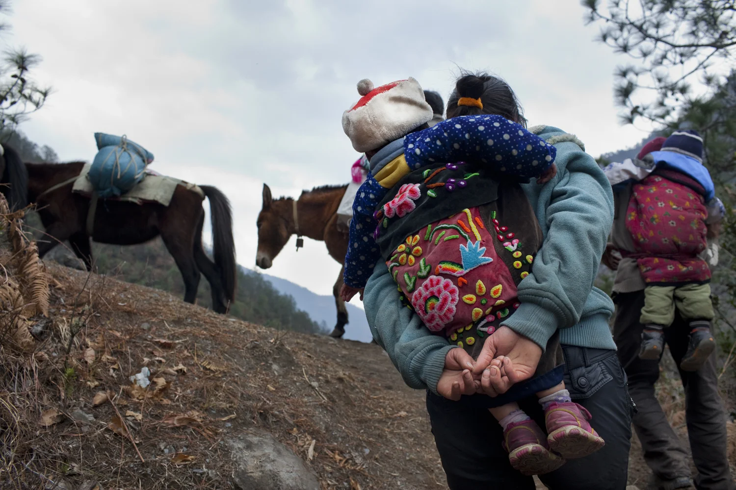 Families on their way back to Baihanluo after celebrating Spring Festival in another village. This village sits on top of a mountain and like Dimaluo is a Catholic Tibetan village. This pack train is bringing supplies up and some are making New Years visits.
