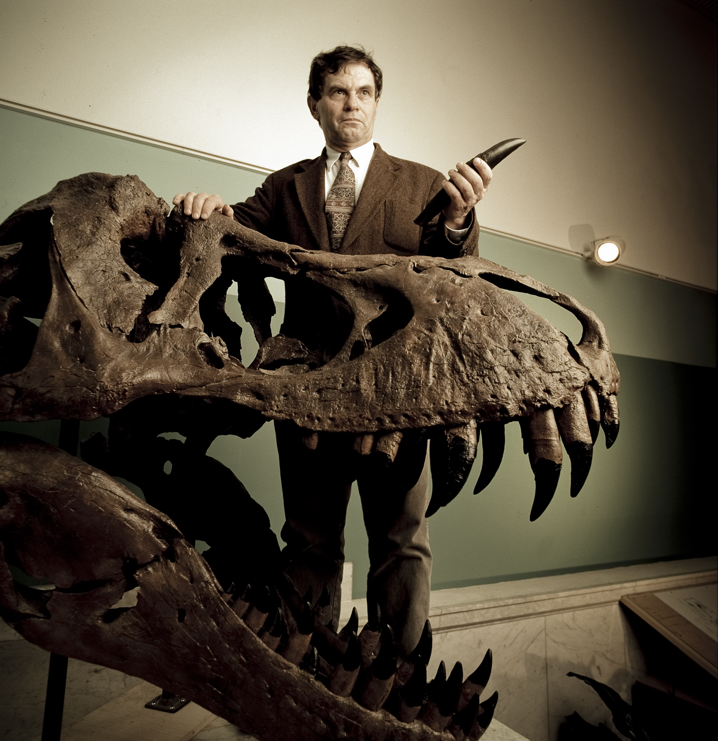 Paleontologist, Dan Wolberg of the Academy of Natural Sciences in Philadelphia, PA 