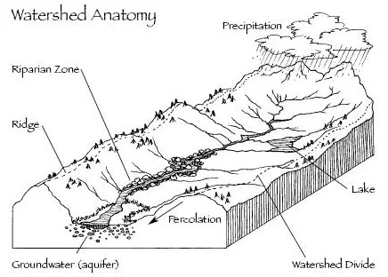 anatomy of a watershed.jpg