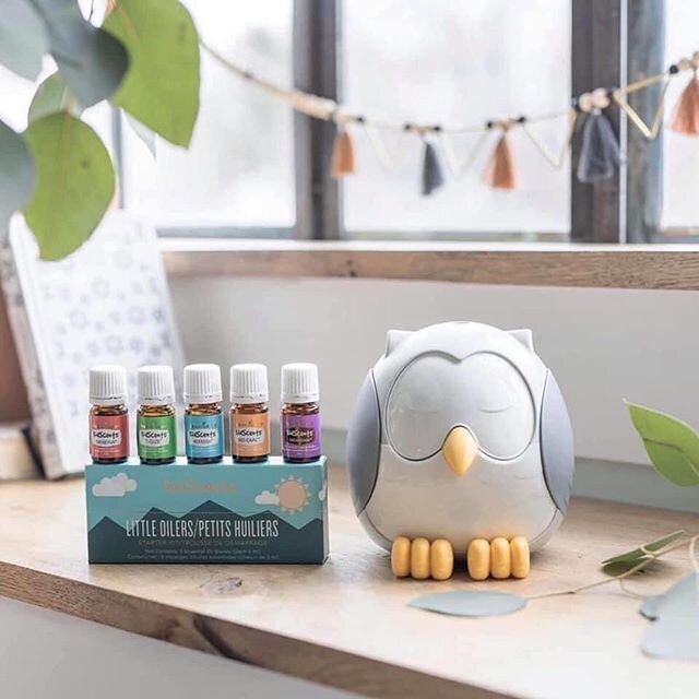 Little Oilers Starter Kit 🦉 🌱

Enjoy peace of mind knowing each KidScents essential oil is created with little ones in mind and has been pre-diluted for topical use. + SleepyIze&trade; diffuser at bedtime for a peaceful aromatic environment. Wonder
