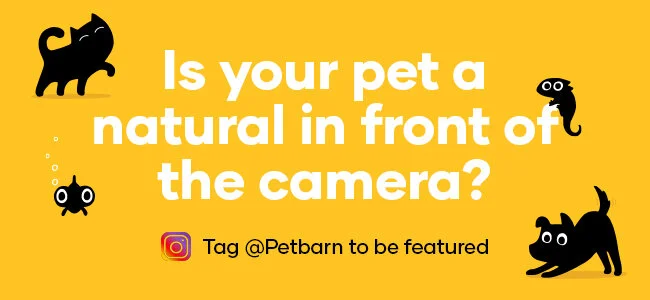 Follow Us_eDM_650x300_V1apx.jpg