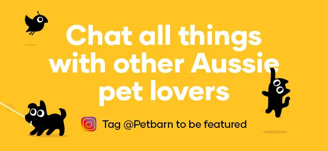 Follow Us_eDM_650x300_V1cpx.jpg