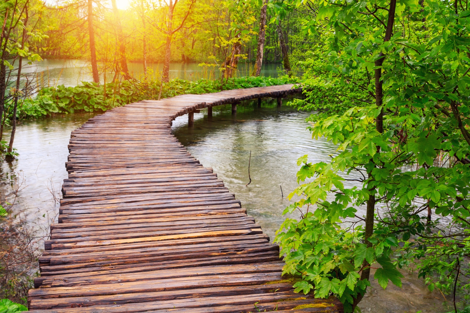 Water path.jpg