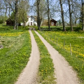 Come Back to Your Home Within