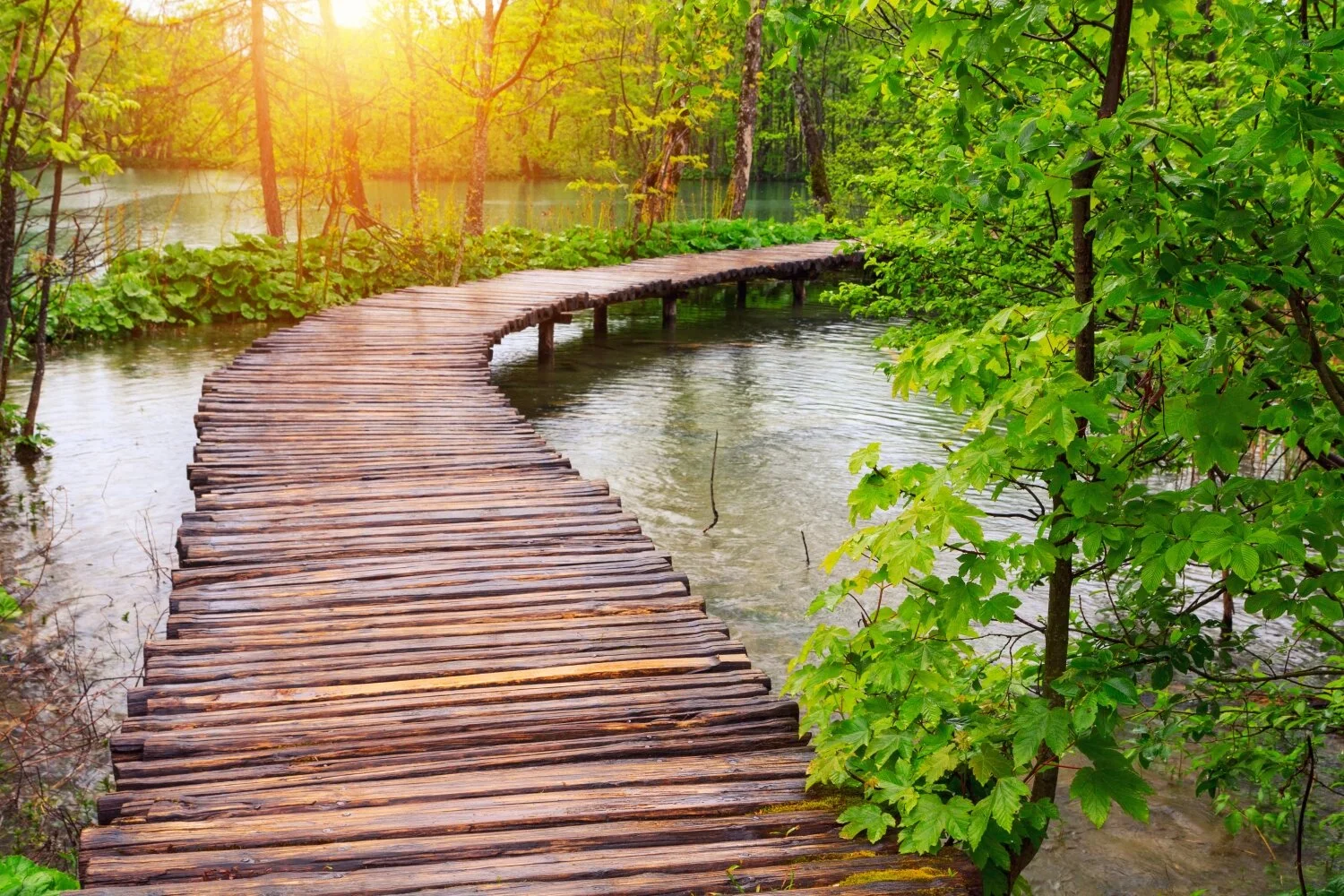 Water path.jpg
