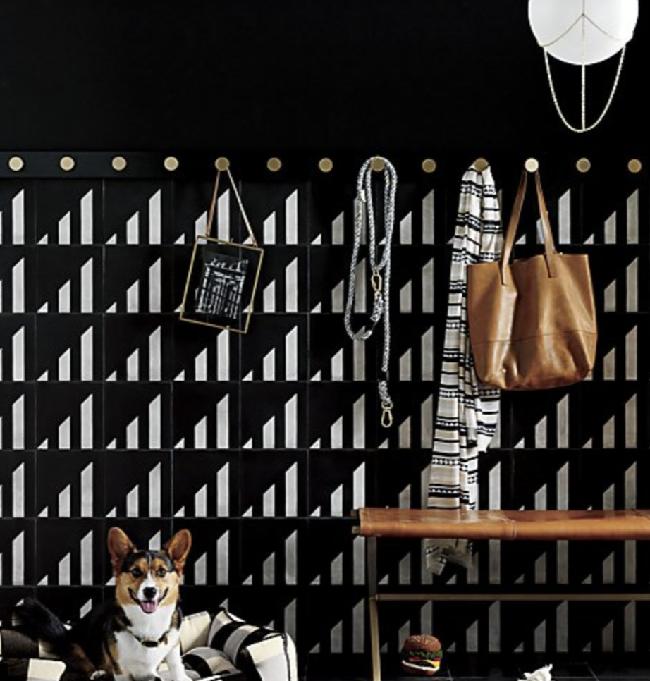 The New Stylish CB2 Pet Collection