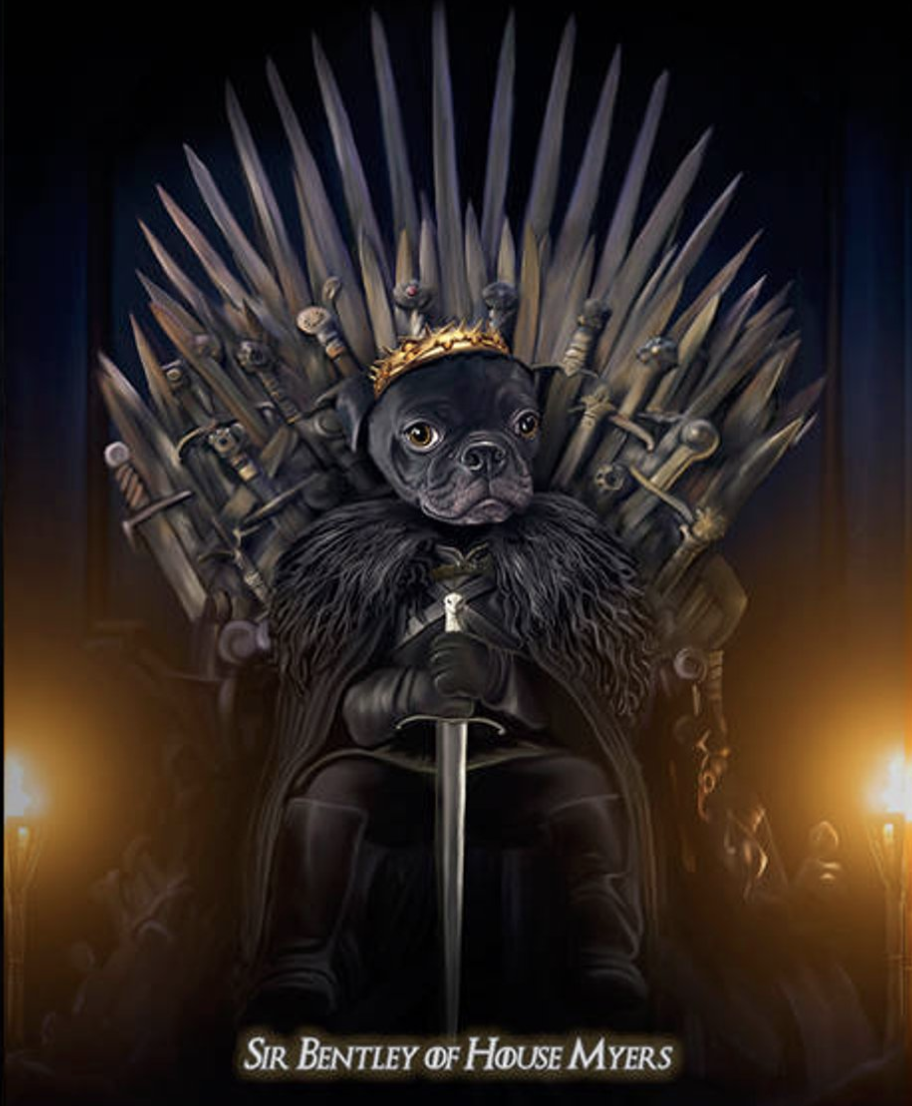 iron throne dog
