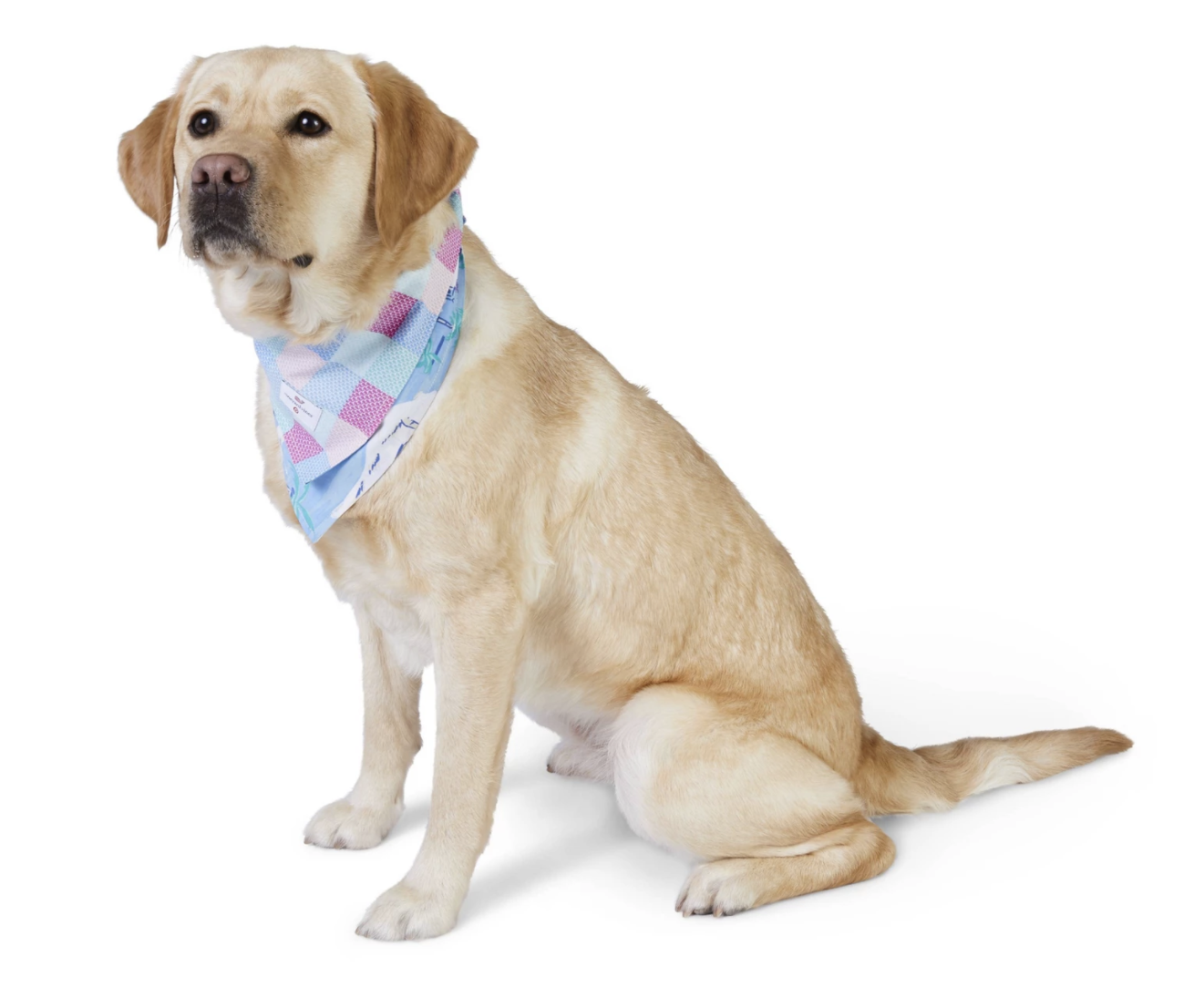 Screen Shot 2019-05-20 at 8.10.42 PM.png