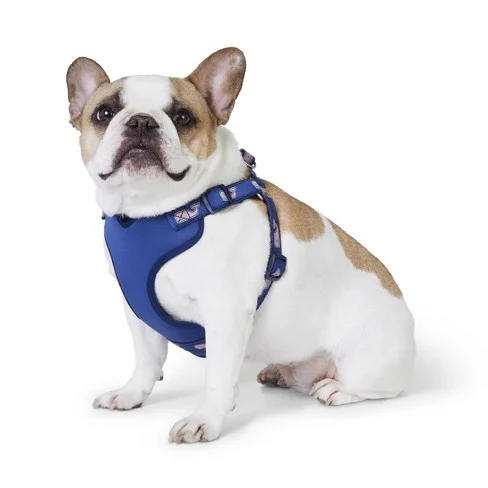 vineyard vines dog harness