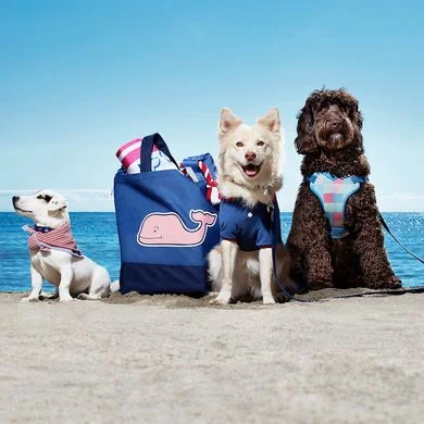 Vineyard Vines Pet Collection At Target - Let Your Pup Live Out Your Hamptons Dreams