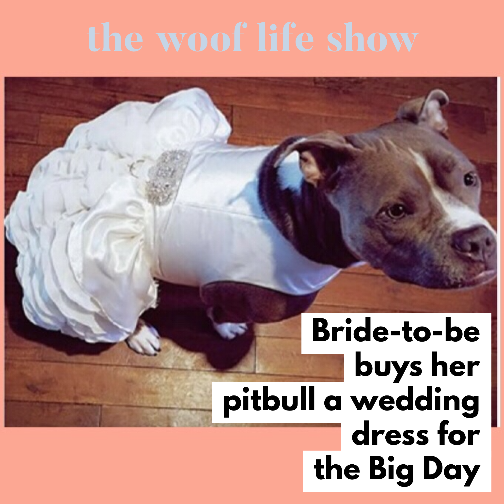 Bailey wedding.png