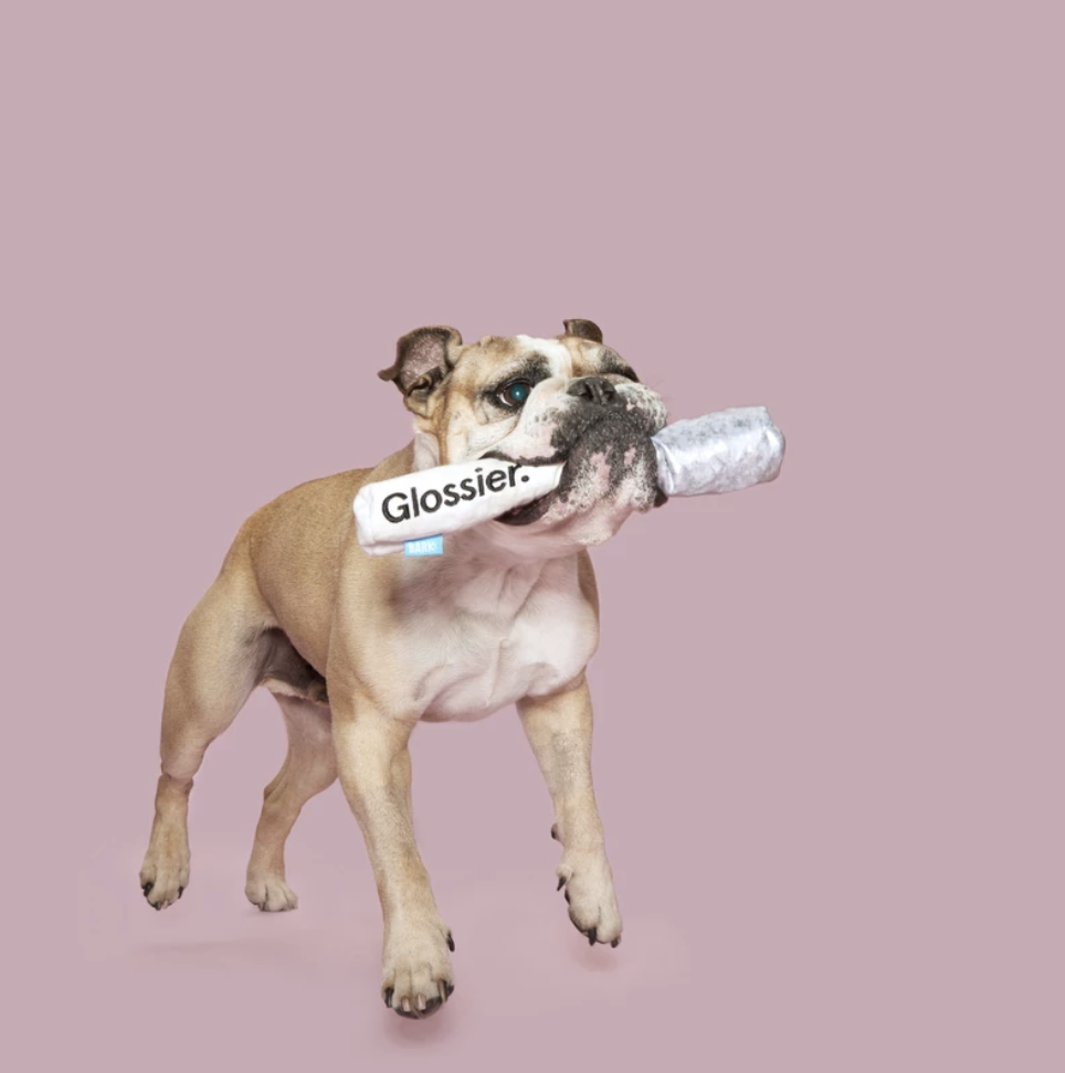 Screen Shot 2019-09-08 at 3.20.23 PM.png