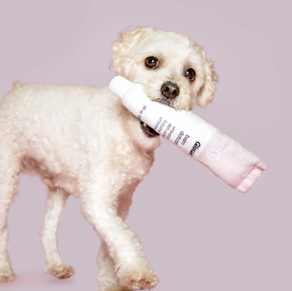 The Collaboration That Is Everything - Bark And Glossier