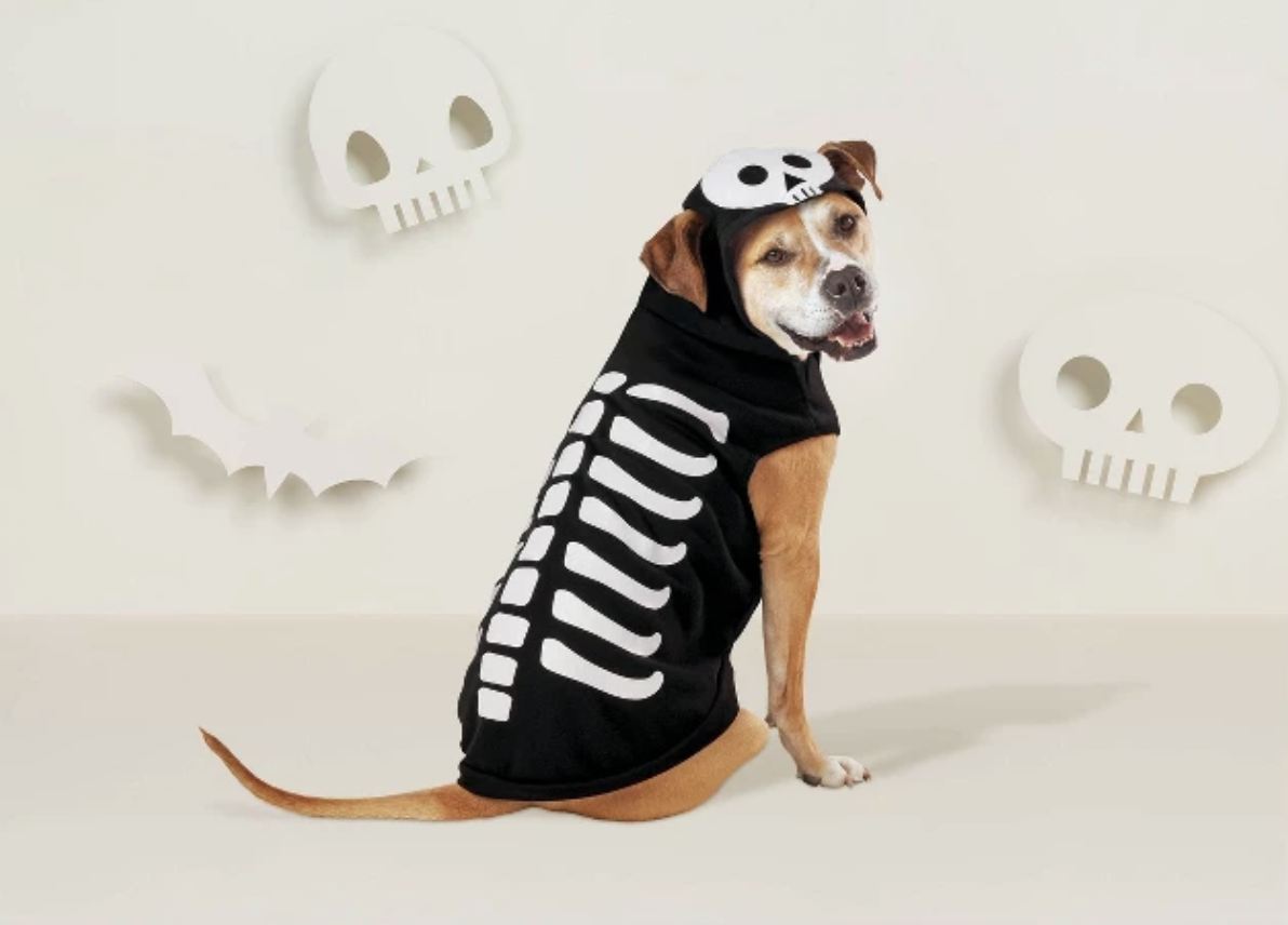 dog skeleton costume