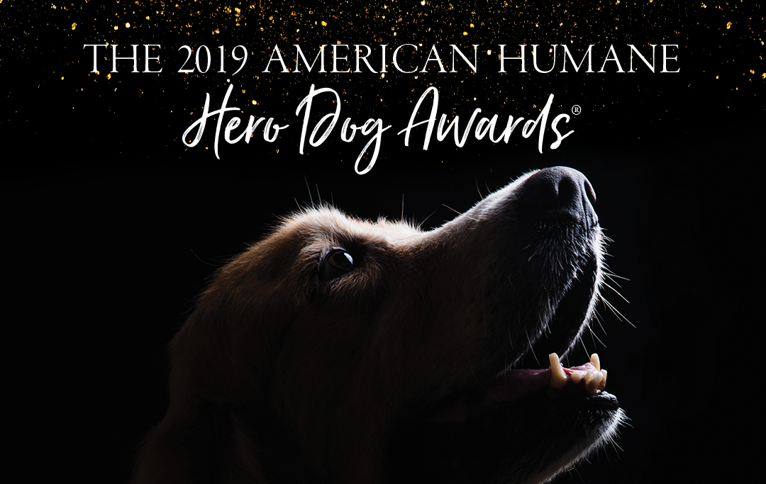 Woof Republic Attends The 9th Annual Hero Dog Awards