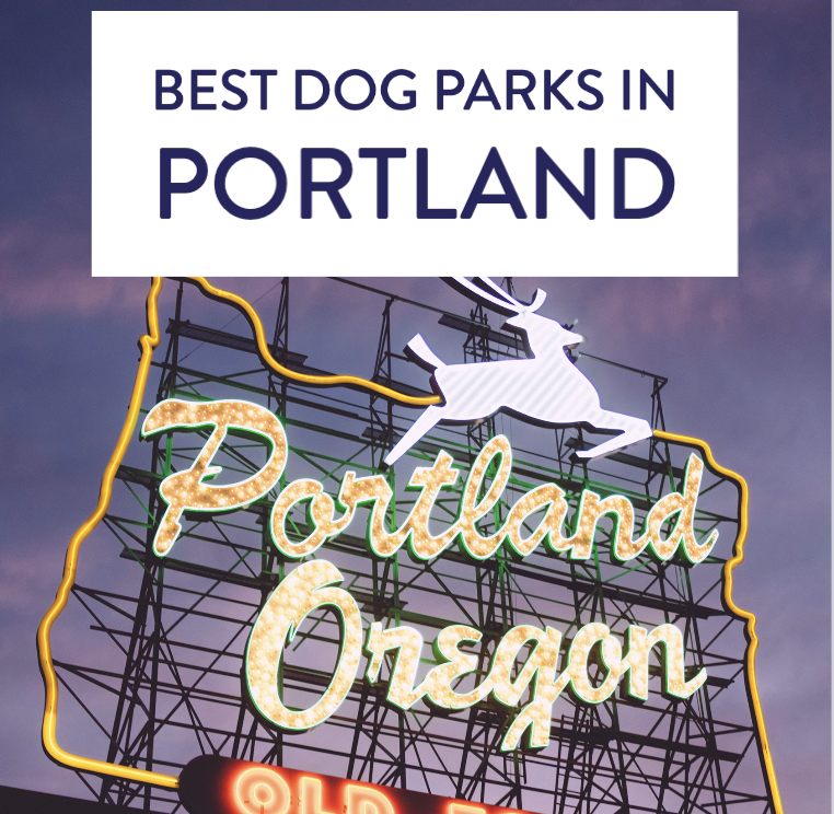 6 Best Dog Parks In Portland 