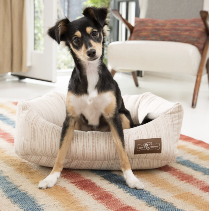 cute monogrammed dog beds