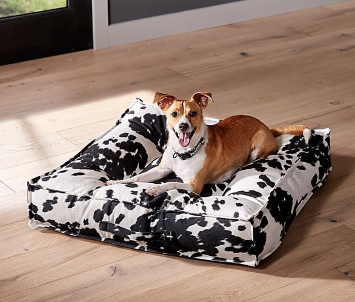 cute monogrammed dog beds