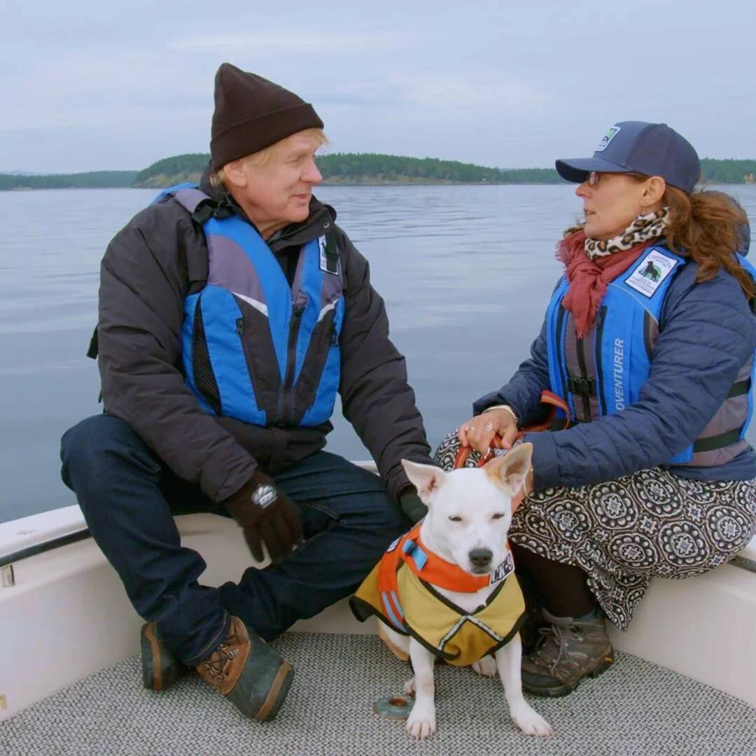 'It's A Dog's Life' Is The Perfect Show For Fans Of Disney And Dogs