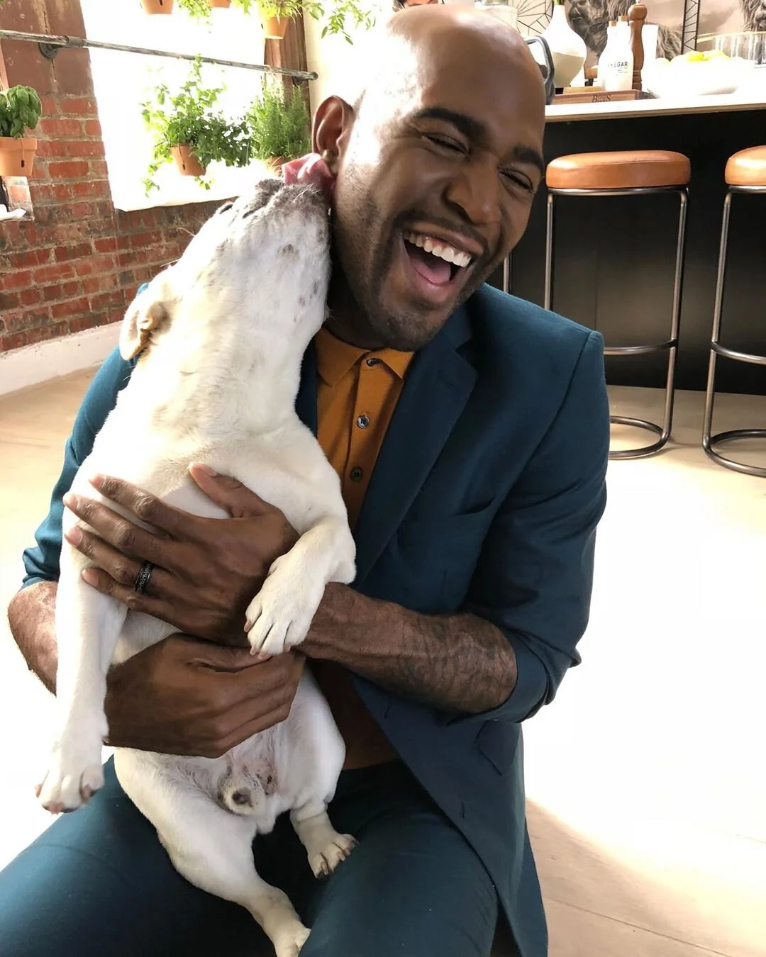 The Dogs Of Queer Eye Woof Republic A Modern Dog Owner Community