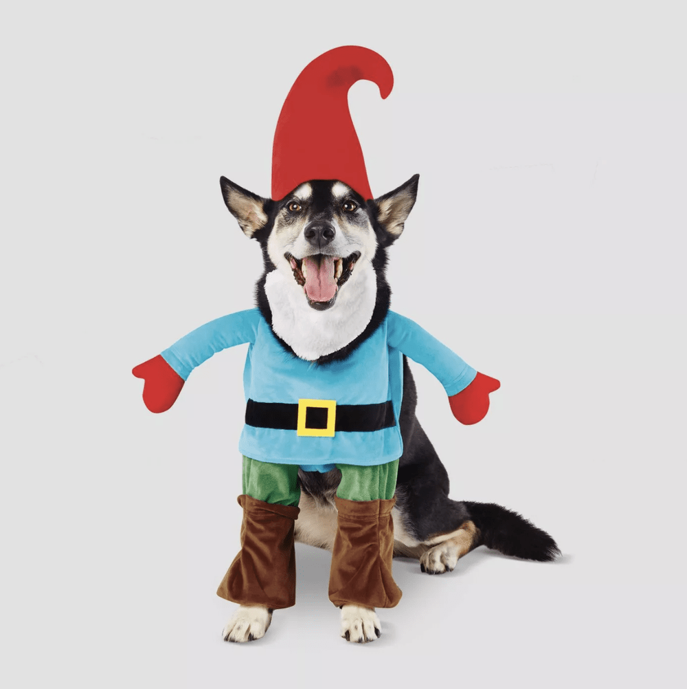 Target Dog Halloween Costumes 2022 Best Dog Halloween Costumes At Target For 2020 Woof Republic
