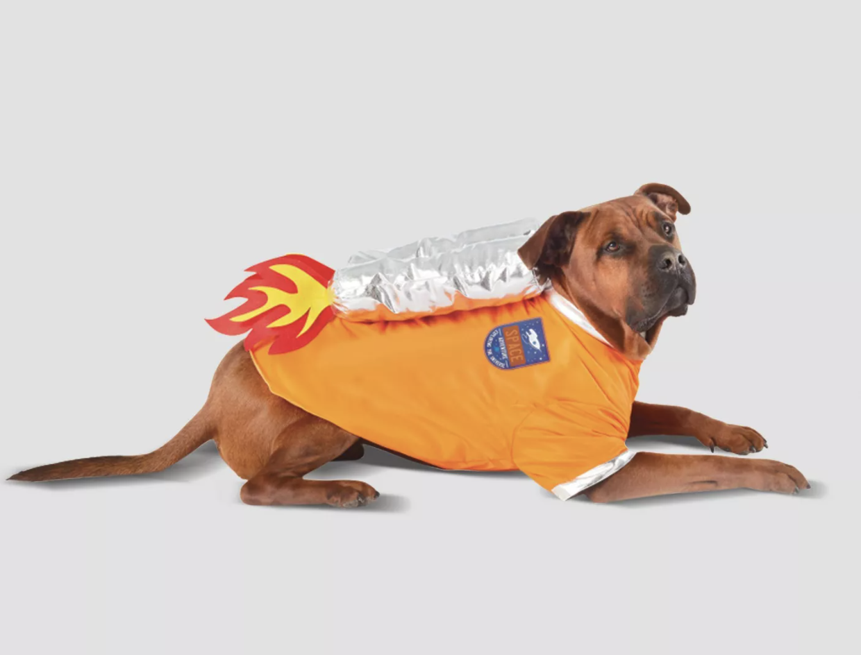 target dog apparel