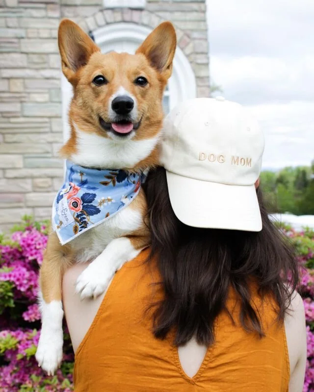 lucy and co bandanas