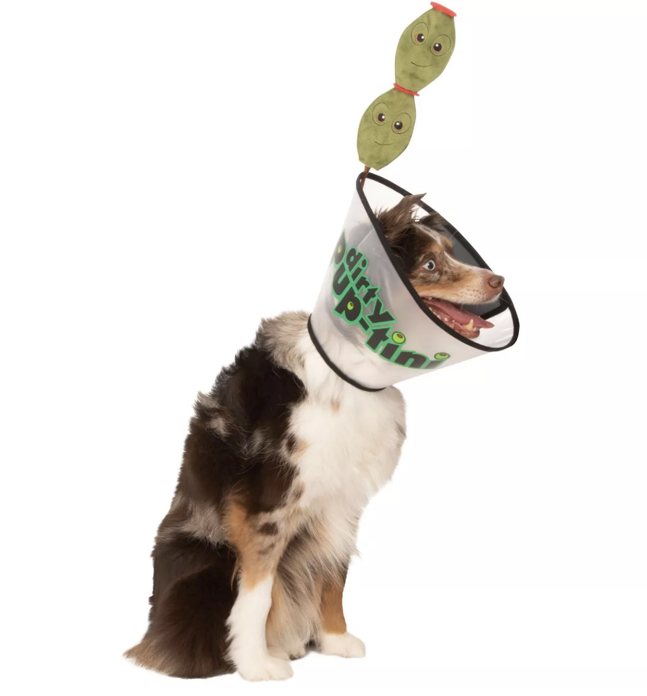 target pet cone