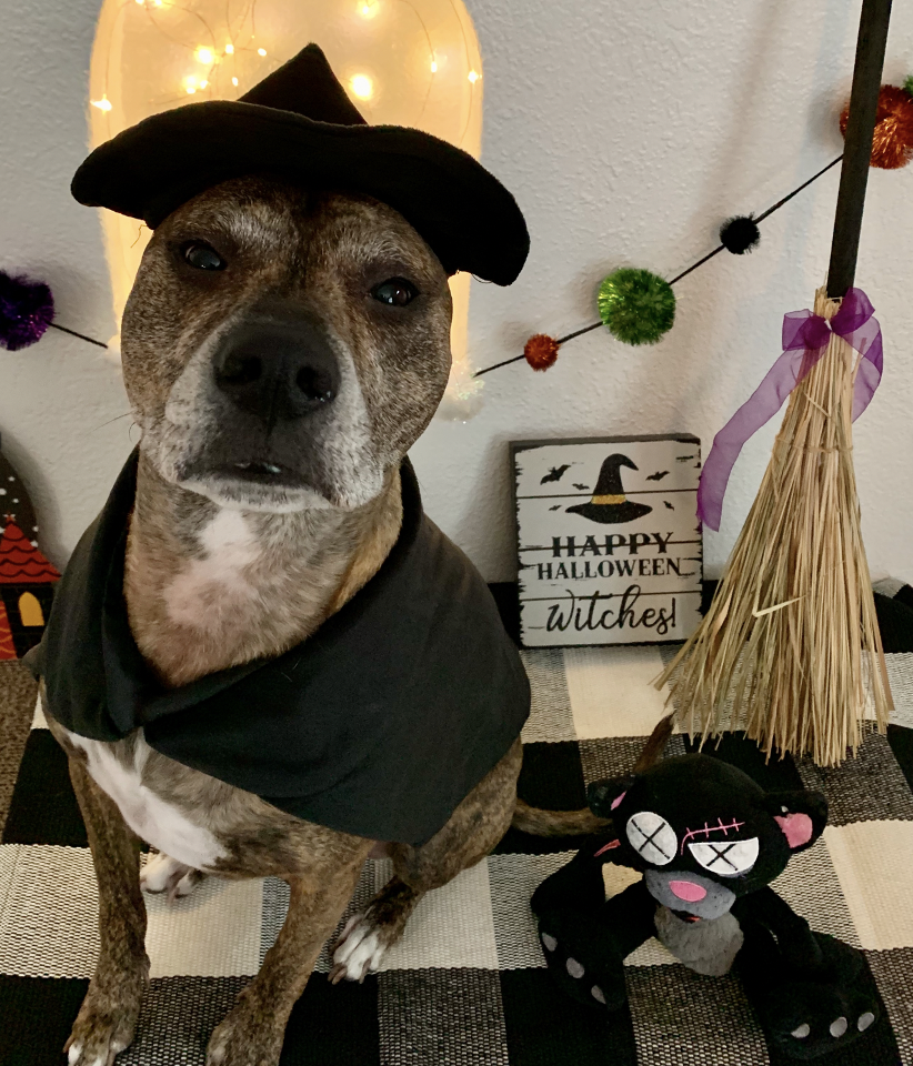 Screen Shot 2020-10-31 at 1.22.45 PM.png