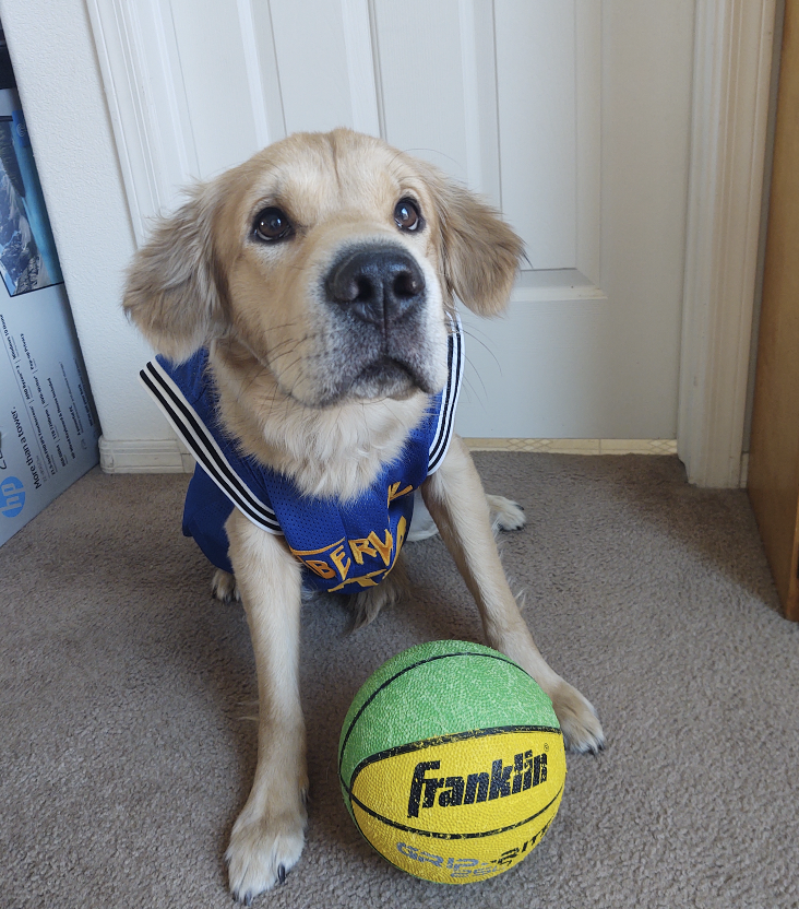 Screen Shot 2020-10-31 at 1.09.46 PM.png