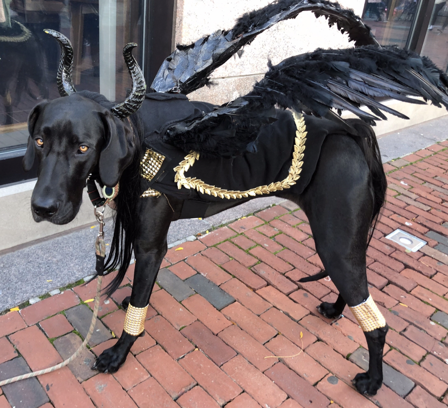 Screen Shot 2020-10-31 at 1.14.10 PM.png