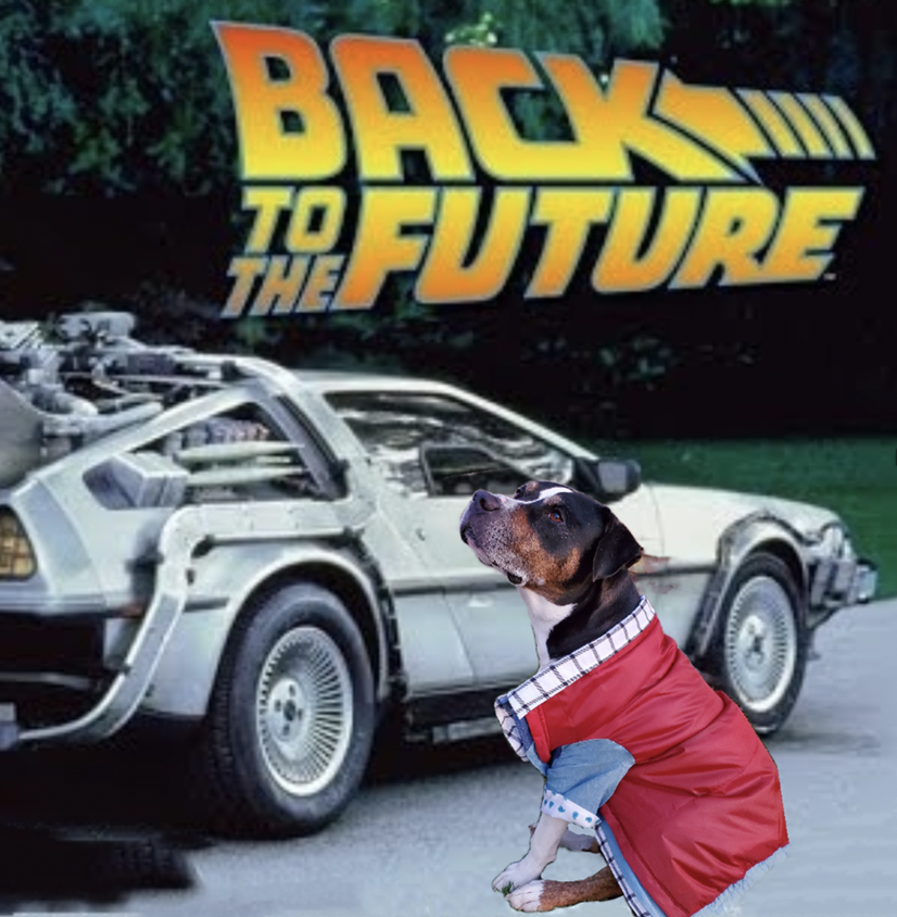 Screen Shot 2020-10-31 at 1.21.26 PM.png