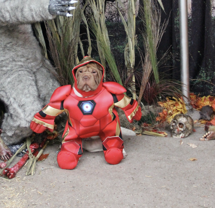 Screen Shot 2020-10-31 at 1.23.48 PM.png