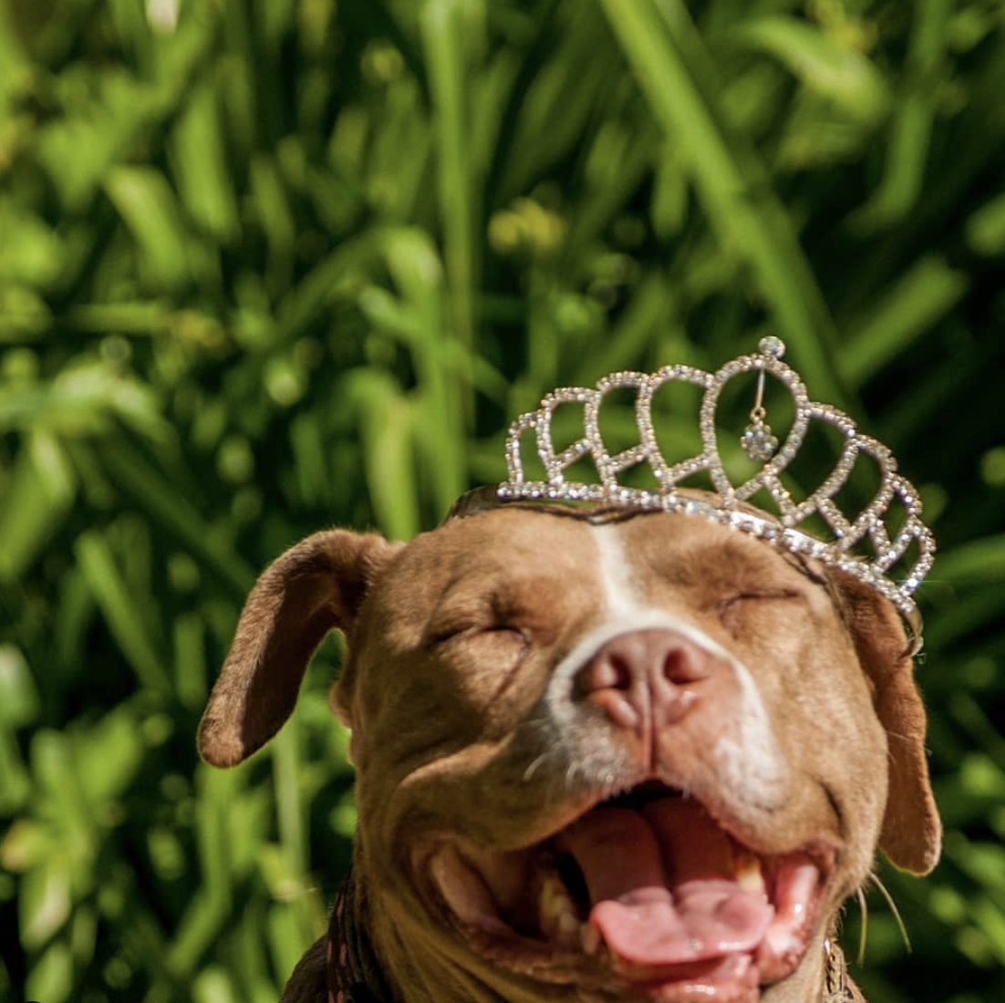 Screen Shot 2020-11-16 at 3.52.26 PM.png