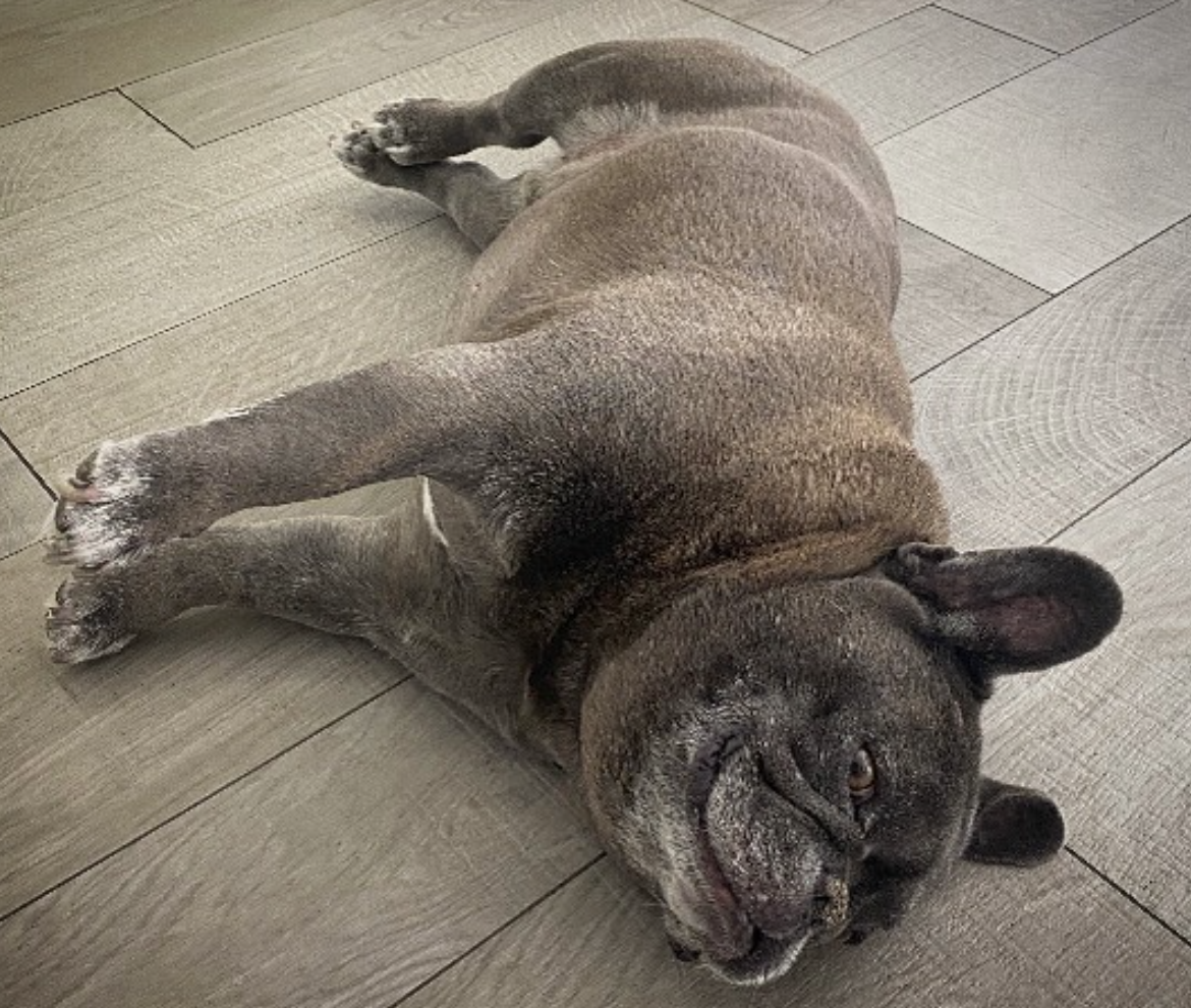 Screen Shot 2021-05-01 at 3.24.26 PM.png