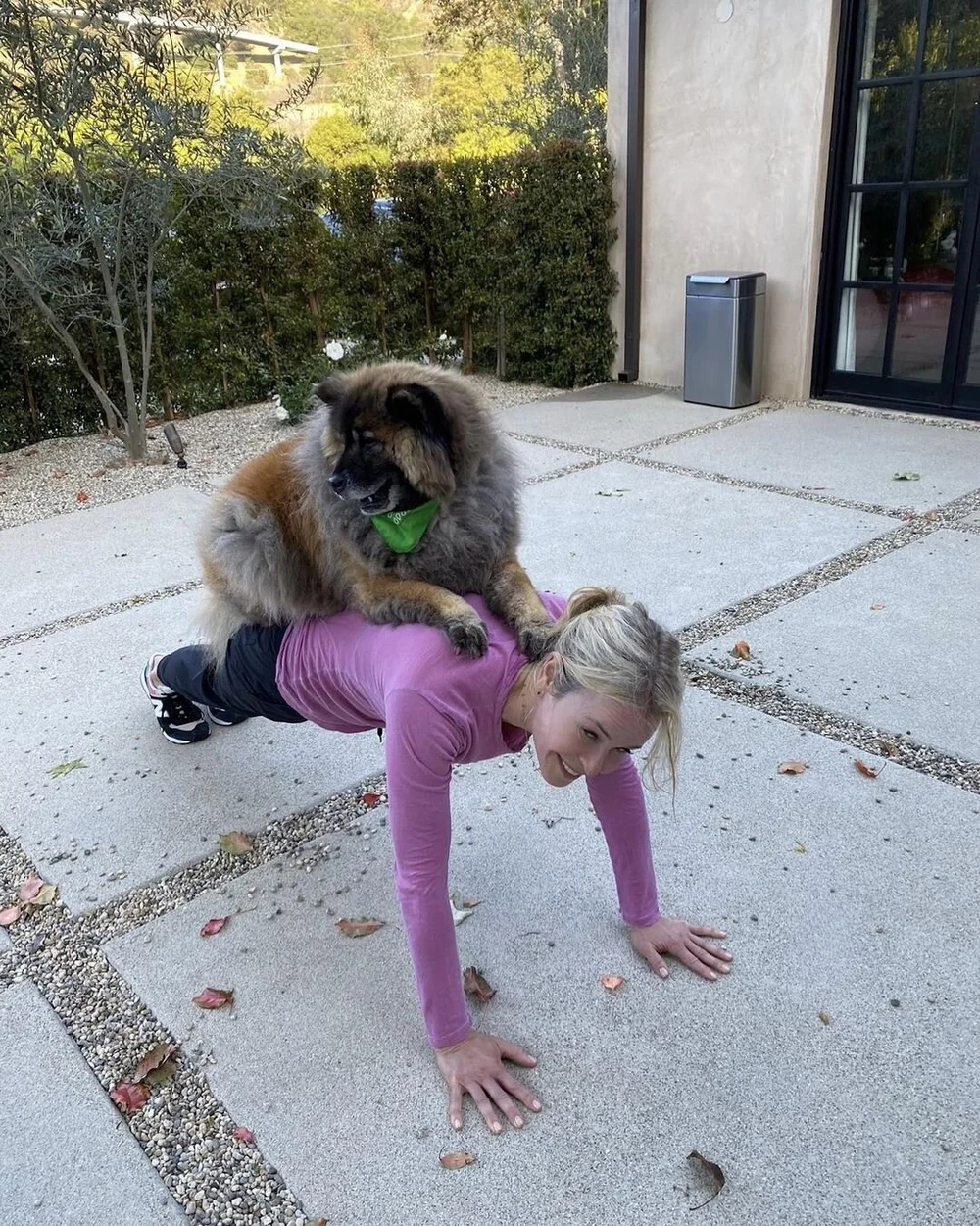 picture Chelsea Handler Dogs woof republic