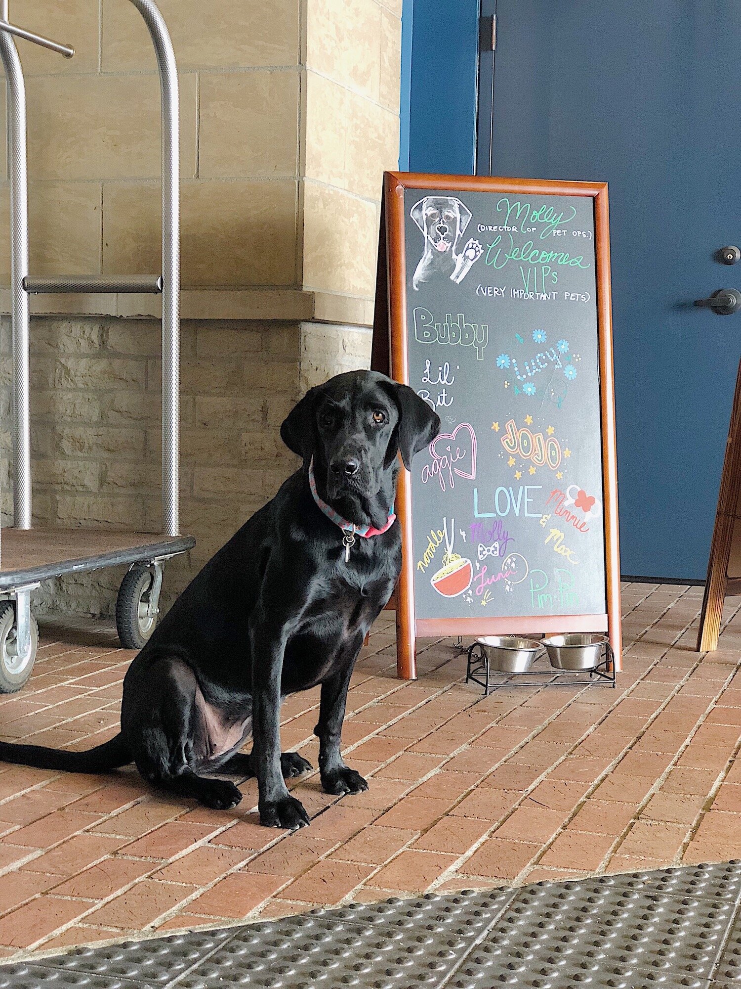 Kimpton-Hotel-Solamar_Molly.jpg