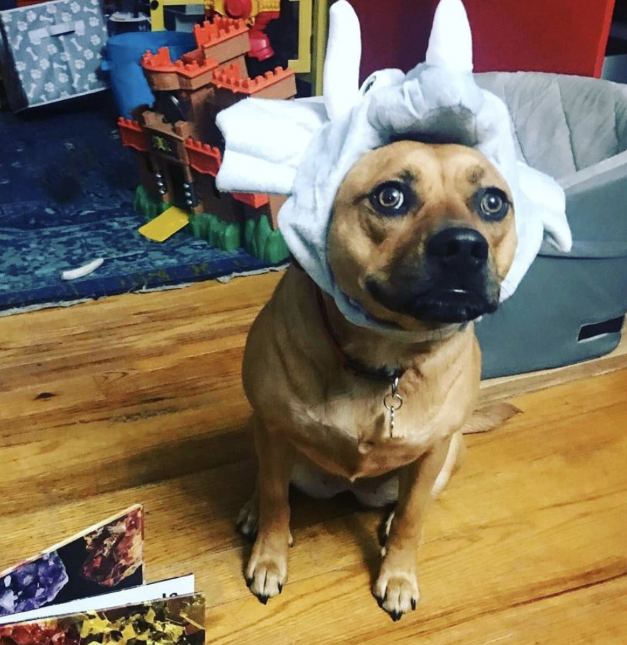 Photo Credit: @eastrockawaylibrary