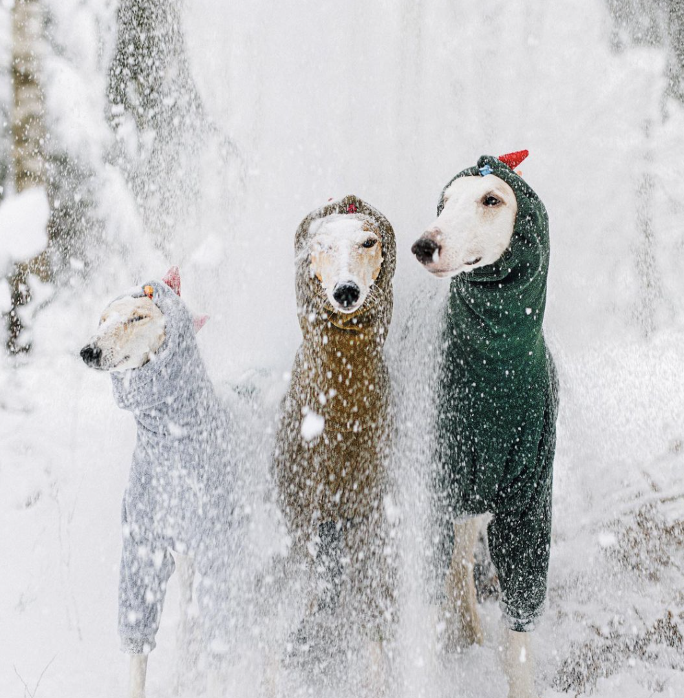 Photo Credit: @fargo_wv