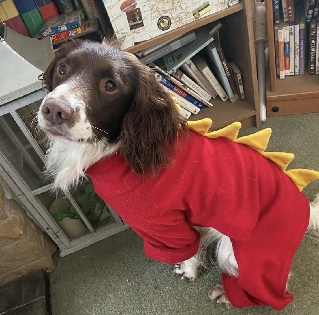 Photo Credit: @dogschickensandgin